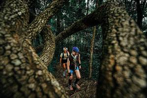 BIB: 
                            <button type="button" onclick="openModal(25711802)" class="btn btn-primary btn-sm float-right btn-popup" data-toggle="modal" data-target=".modal-high-quality">
                        <i class="fas fa-shopping-cart"></i> Add to Cart
                    </button>
                                            <button type="button" onclick="isThisMe(25711802, true)" class="btn btn-success btn-sm float-right btn-popup btn-isme hidden" data-toggle="tooltip" data-placement="bottom" title="นี่คือรูปของคุณใช่ไหม คลิกที่นี่เพื่อเอาเข้าอัลบั้ม">
                        <i class="fas fa-plus"></i> Add to album
                    </button>
                    <button type="button" onclick="isThisMe(25711802, false)" class="btn btn-warning btn-sm float-right btn-popup btn-isnotme hidden">
                        <i class="fas fa-ban"></i> Remove from album
                    </button>